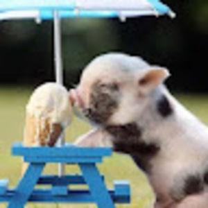 Meet your Posher, Kate